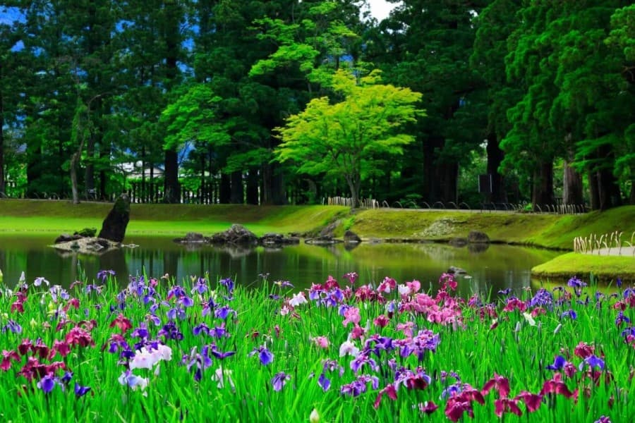 Turkmenistan Is Preparing for the GREEN×EXPO 2027 International Gardening Exhibition in Japan