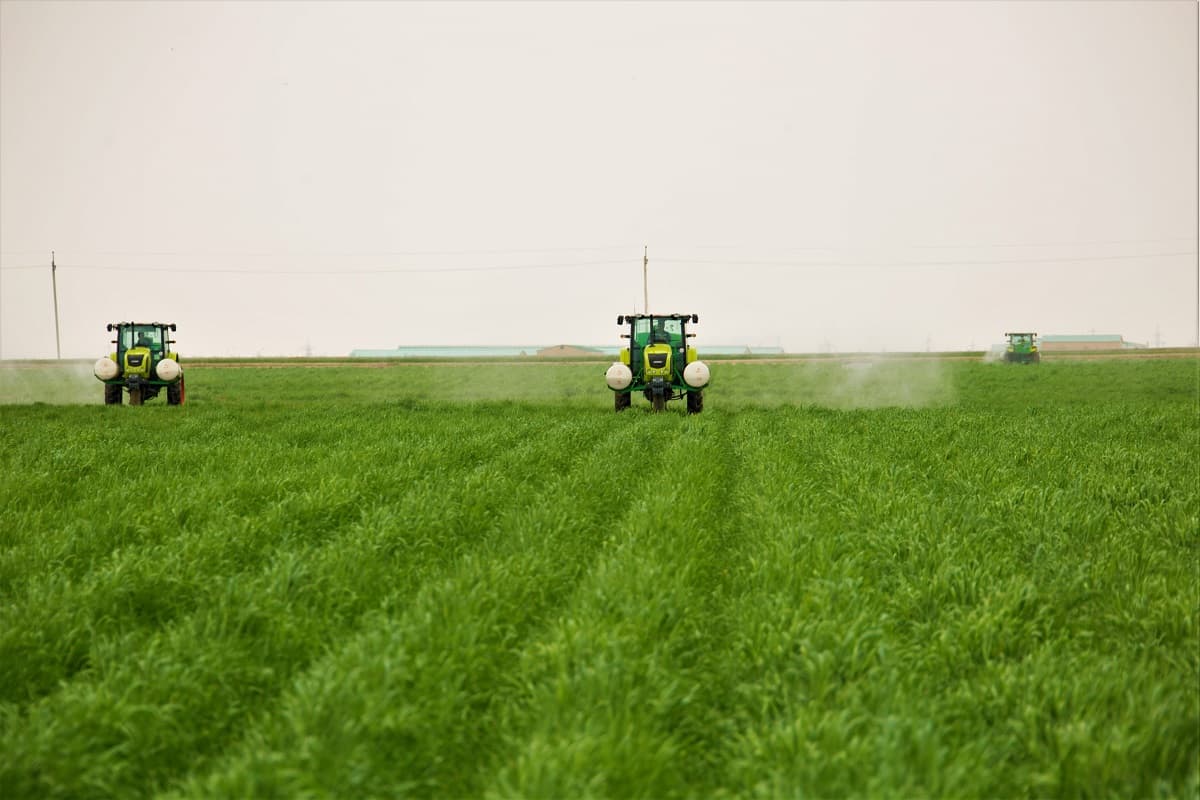 president-discussed-agricultural-sectors-spring-goals-regional-governors