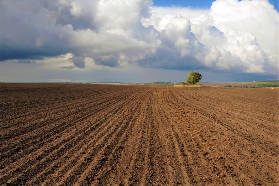 turkmenistan-cotton-sowing-start-march-25