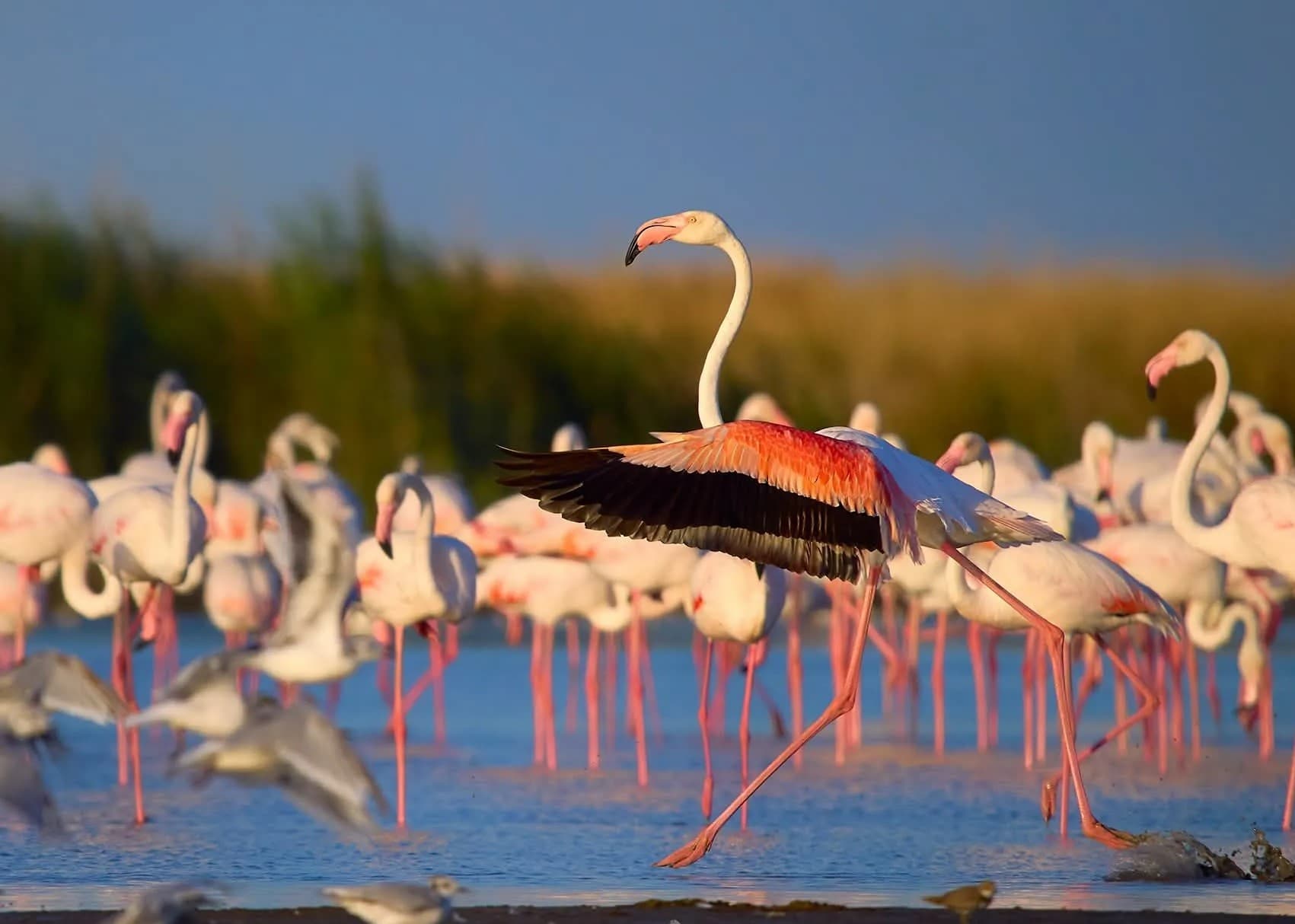 digital-wetlands-monitoring-turkmenistan-undp-2026
