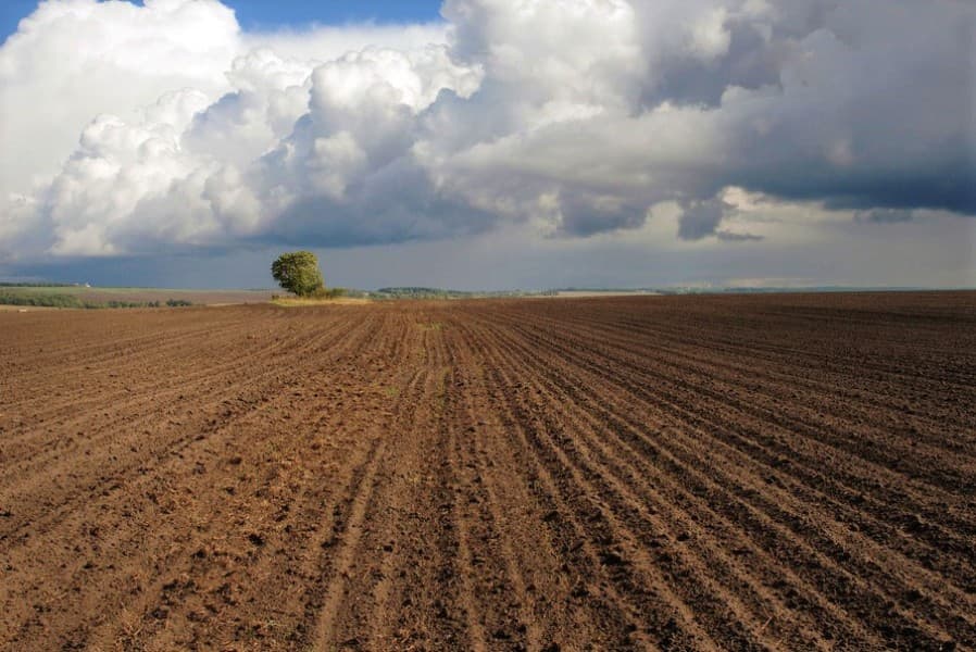 turkmenistan-prepares-spring-sowing