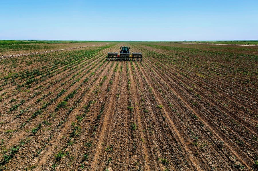 turkmenistans-agricultural-sector-increased-production-93-and-laying-2026-harvest-underway