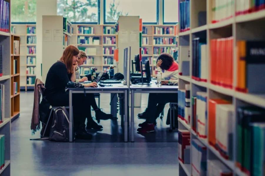 rumyniyanyn-yokary-okuw-mekdeplerinde-turkmen-yaslarynyn-okadylmagy-ucin-ileri-tutulyan-ugurlar