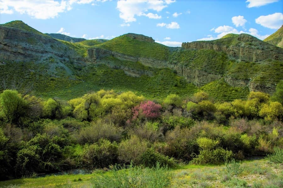 kompozitor-kerimguly-garowowyn-daglar-boyunca-sazly-gezelenji