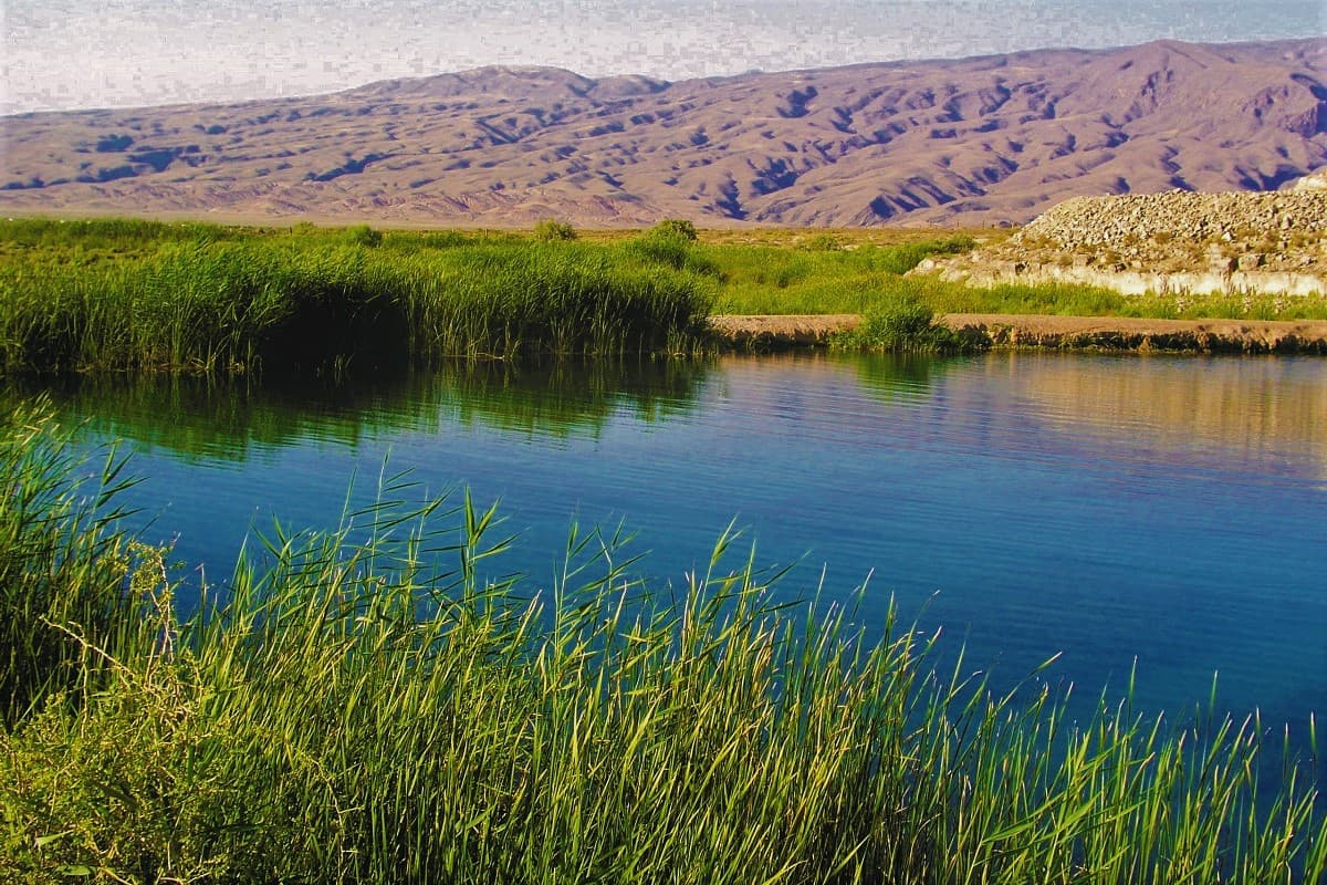 tashkent-water-week-2026-central-asia-resource-management