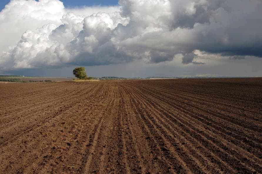agricultural-marathon-and-winter-season-key-topics-meeting-president-turkmenistan-heads-regions