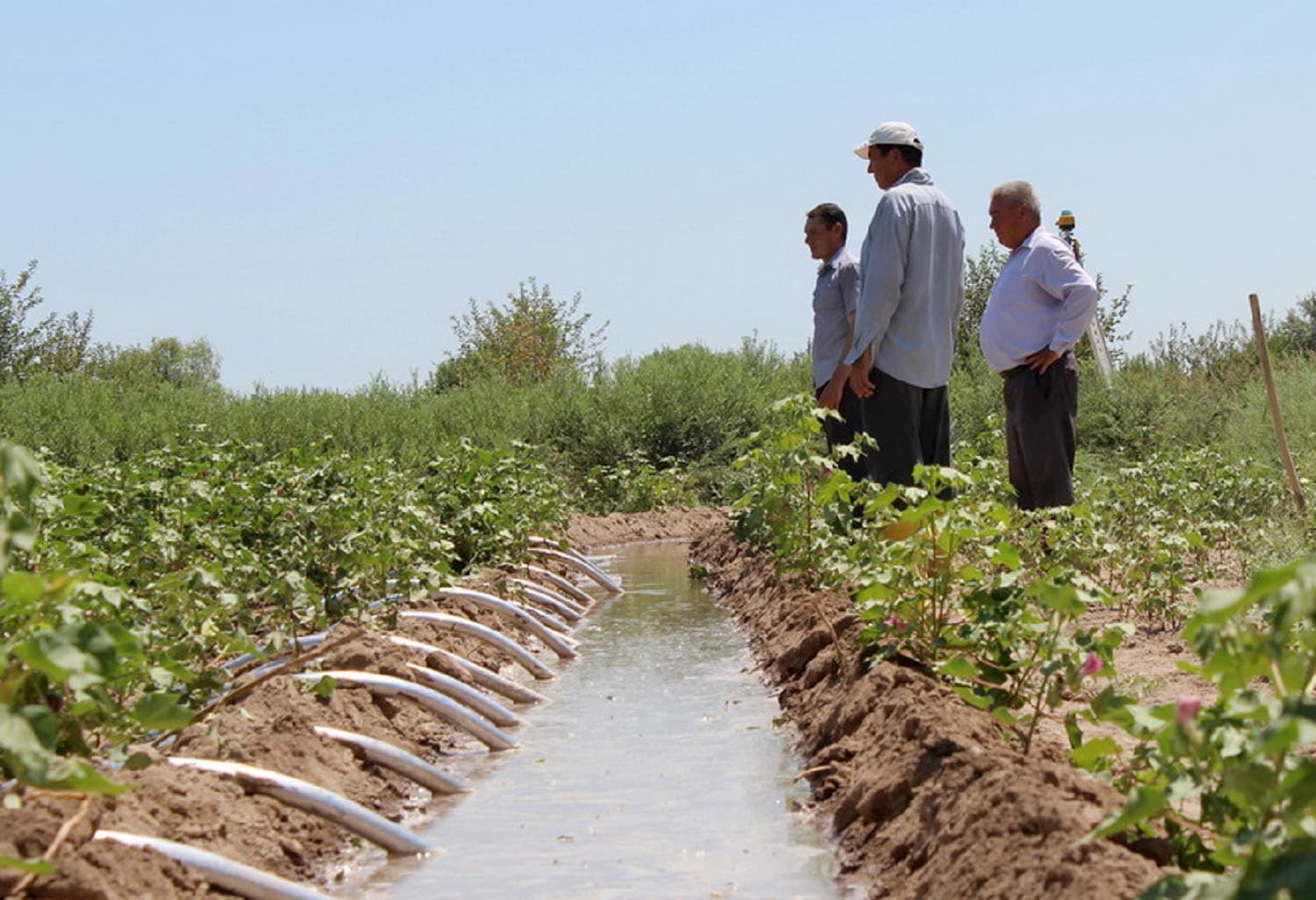 UNDP promotes the introduction of an integrated water resources management into the country's curricula