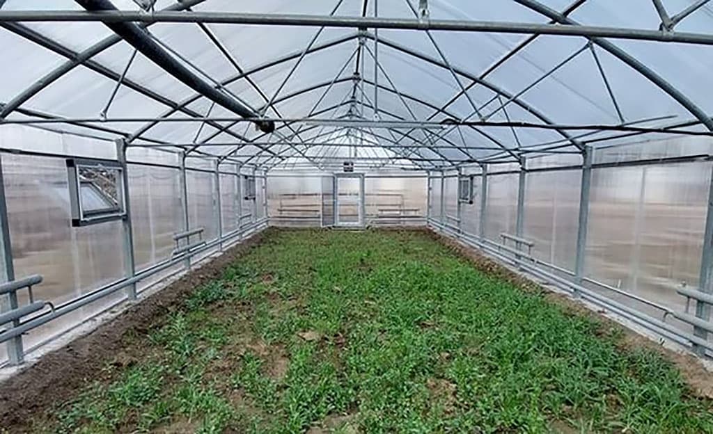 Эффективные агротехнологии в Центральных Каракумах