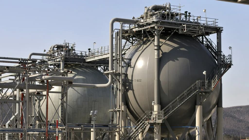 torgi-na-gtsbt-zaklyucheny-sdelki-na-postavku-spg-i-mahrovyh-izdelij