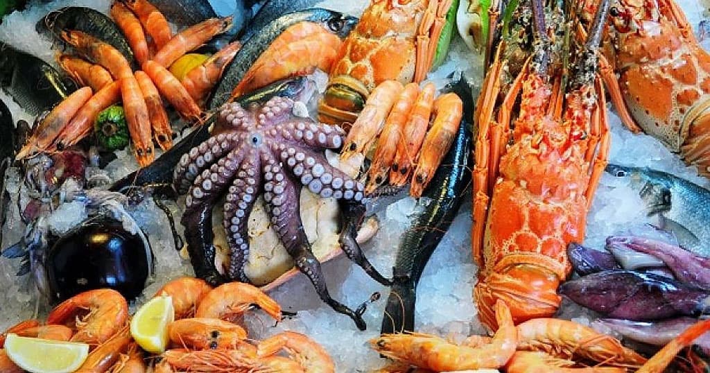 Деликатесы и морепродукты астраханские ученые выращивают в ящике, не выходя из дома