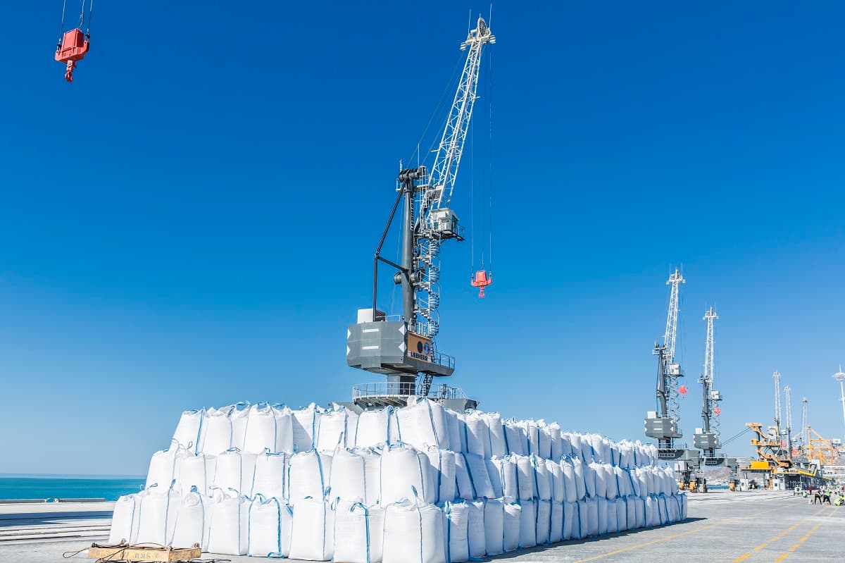 eksport-turkmenskih-tovarov-v-rumyniyu-vyros-v-8-raz-na-povestke-rasshirenie-gruzopotokov