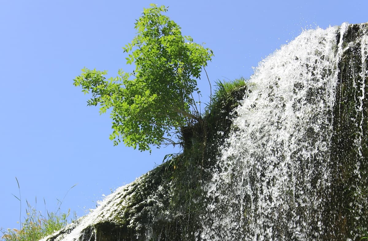 turkmenistan-provel-onlajn-forum-po-vode-v-formate-centralnaya-aziya-respublika-koreya
