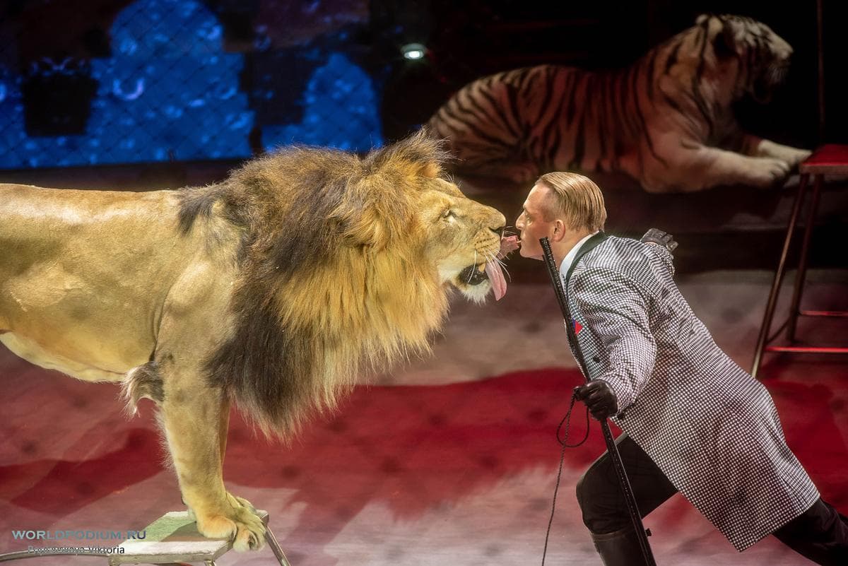 All week on the arena! Russian circus performers will perform in the new city of Arkadag