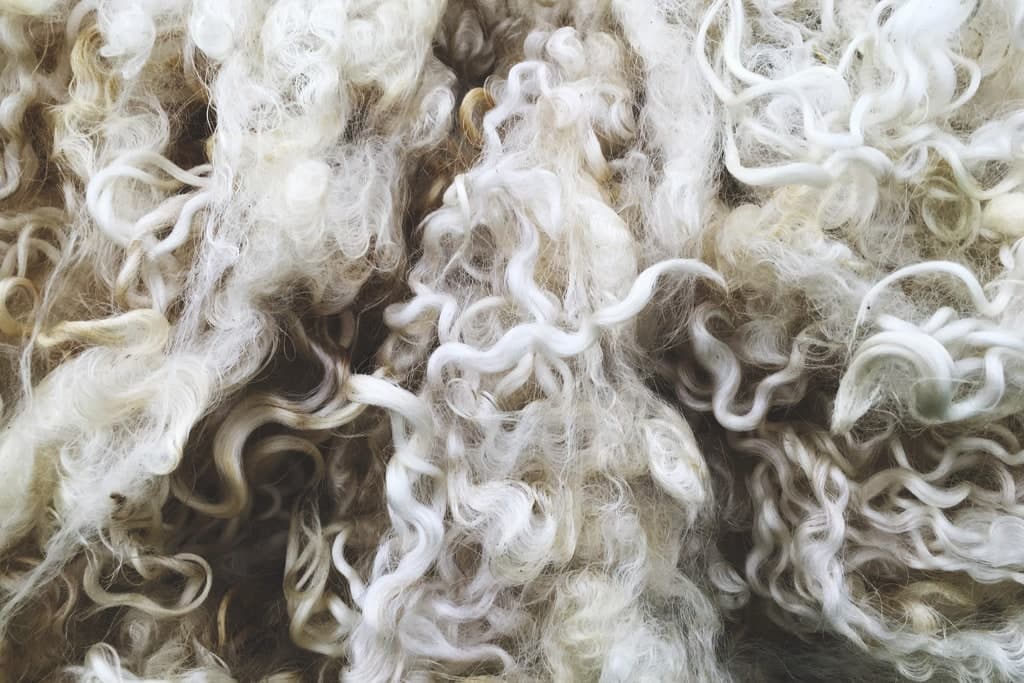 Turkmenistan exported 17.4 tons of high-quality sheep wool to Kurgan region