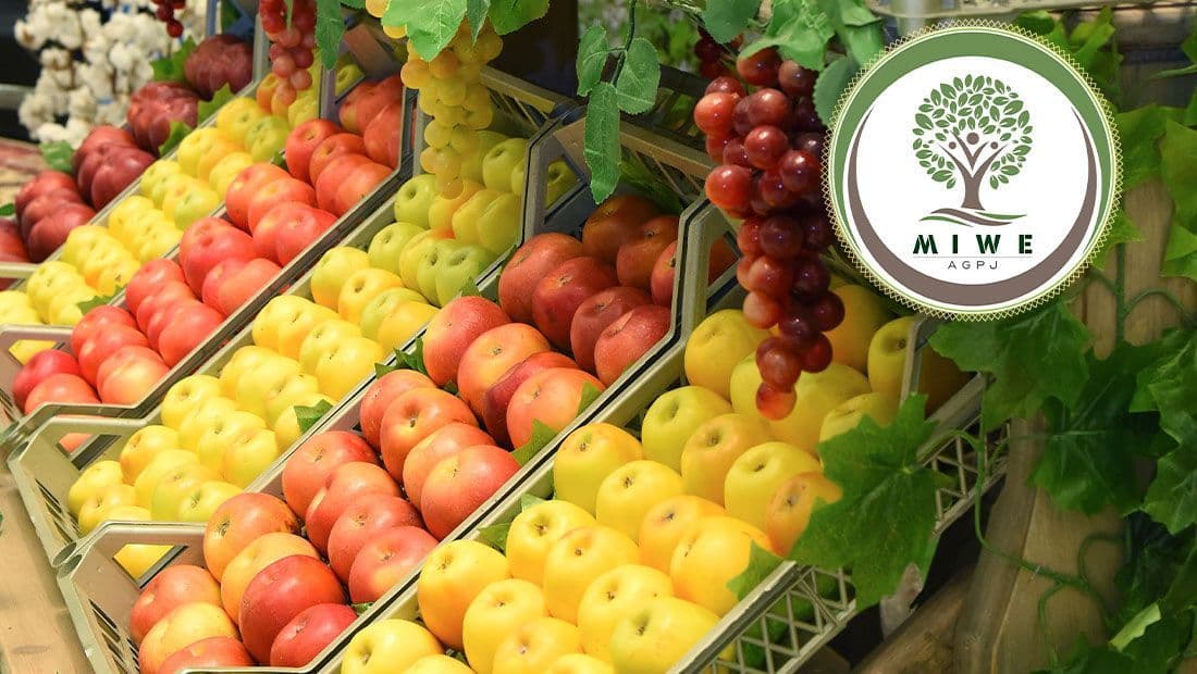 Turkmen company "Miwe" exports ripe fruits to Kazakhstan