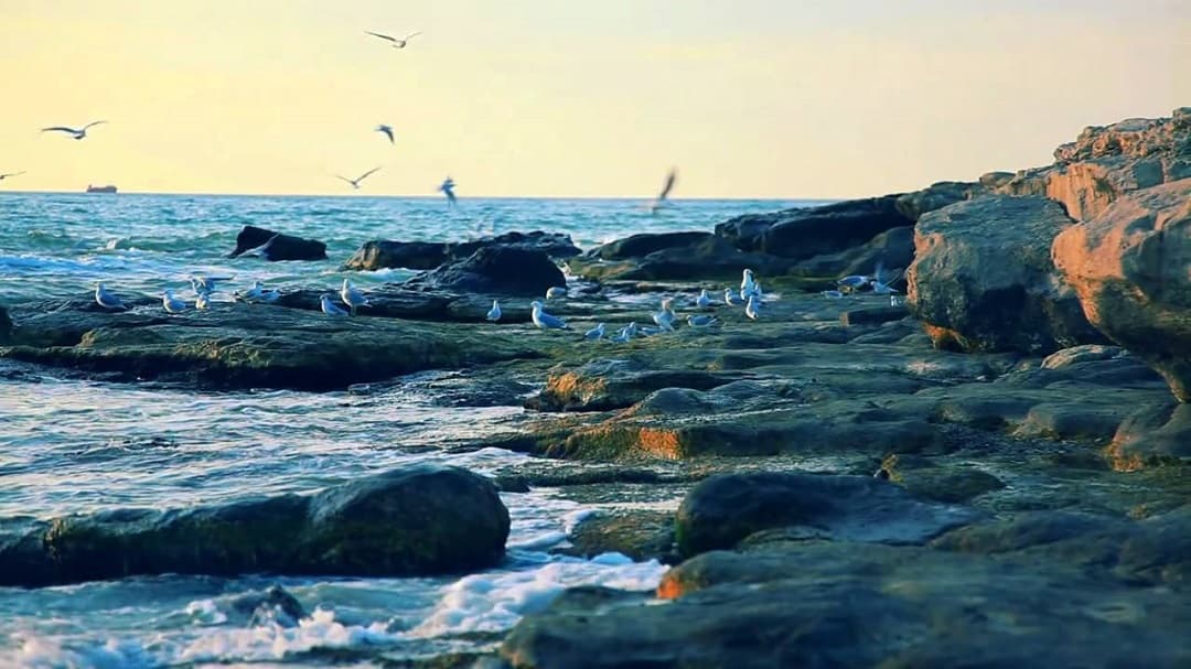 Ashgabat to host a creative action dedicated to Day of the Caspian Sea