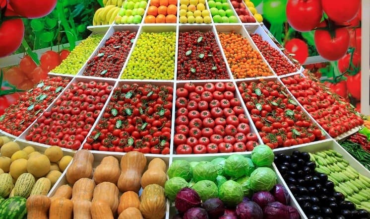New media platform launched to promote Turkmen exports