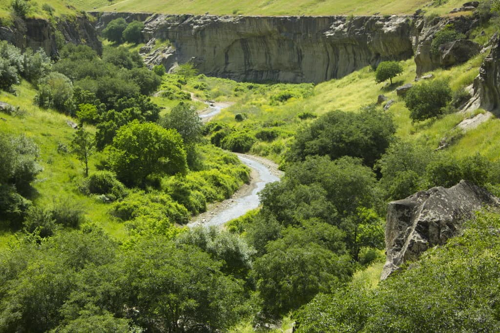 serdar-berdymuhamedov-predlozhil-uchredit-v-ca-centr-klimaticheskih-tehnologij