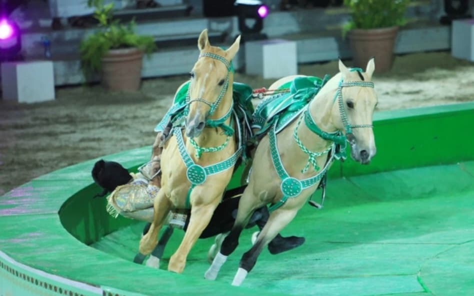 Participants of the international media forum visited the circus and the city of Arkadag