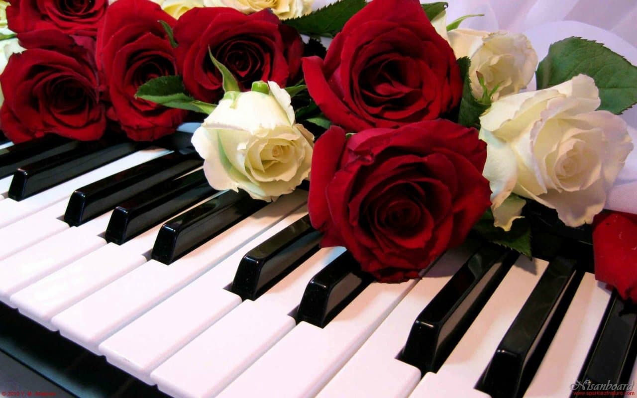 The International Music Day will be celebrated with a concert at the Turkmen Conservatory