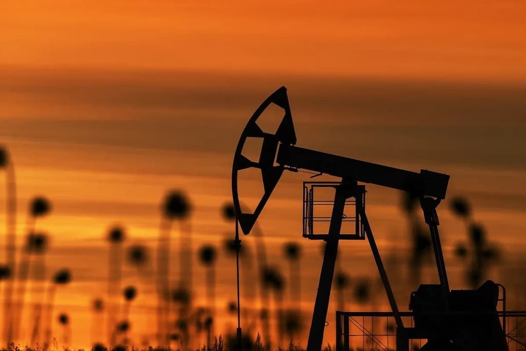 Аналитик предсказал рост цен на нефть до $100 за баррель в 2024 году