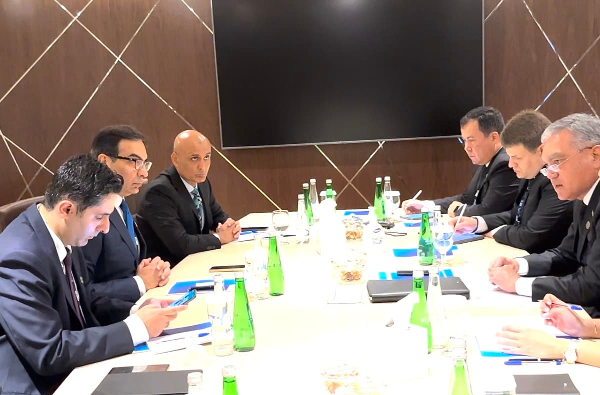 The Turkmen delegation held a meeting with the Minister of Energy of Pakistan