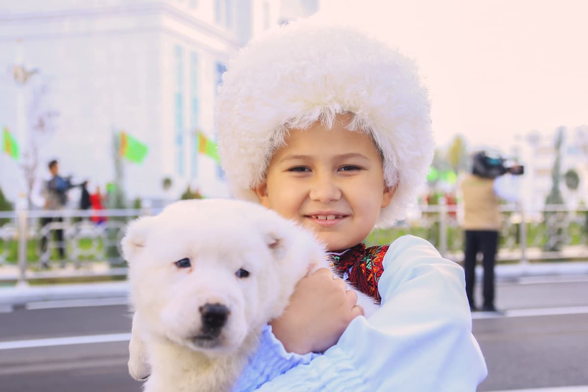 Competitions will be held in Ashgabat in honor of Turkmen Alabai Holiday