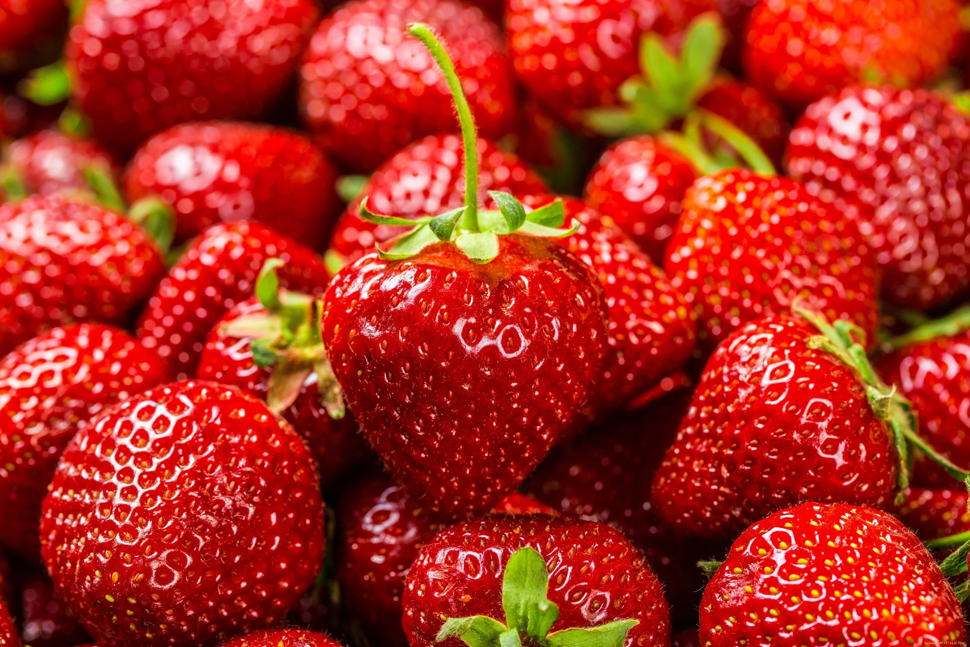 Strawberries will protect against dementia