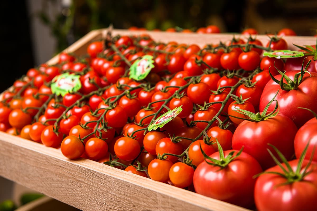 The Kazakhstan trading network became interested in the products of the Turkmen producer of vegetables