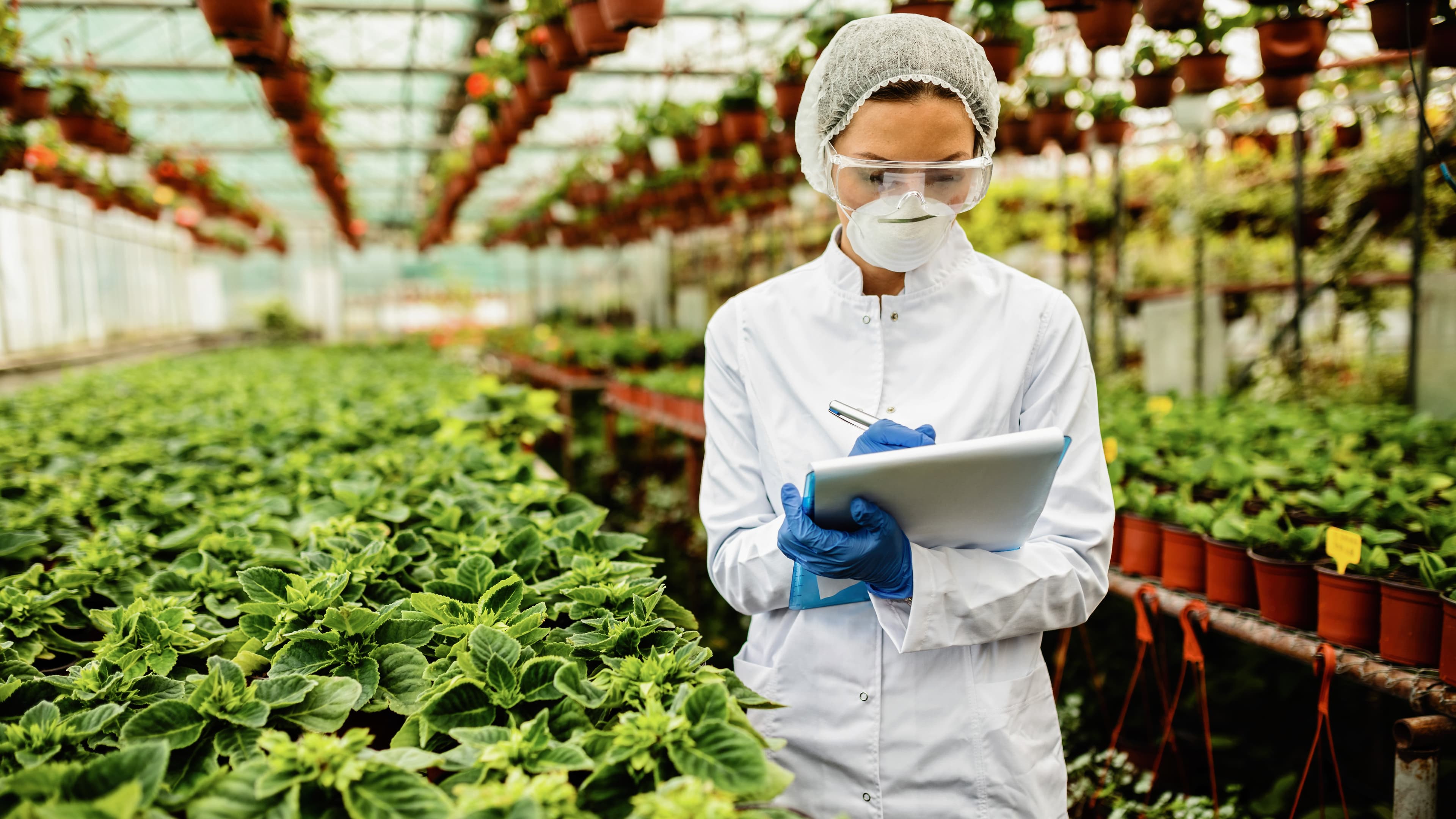 Sanitary and phytosanitary control: what is it and why is it needed?