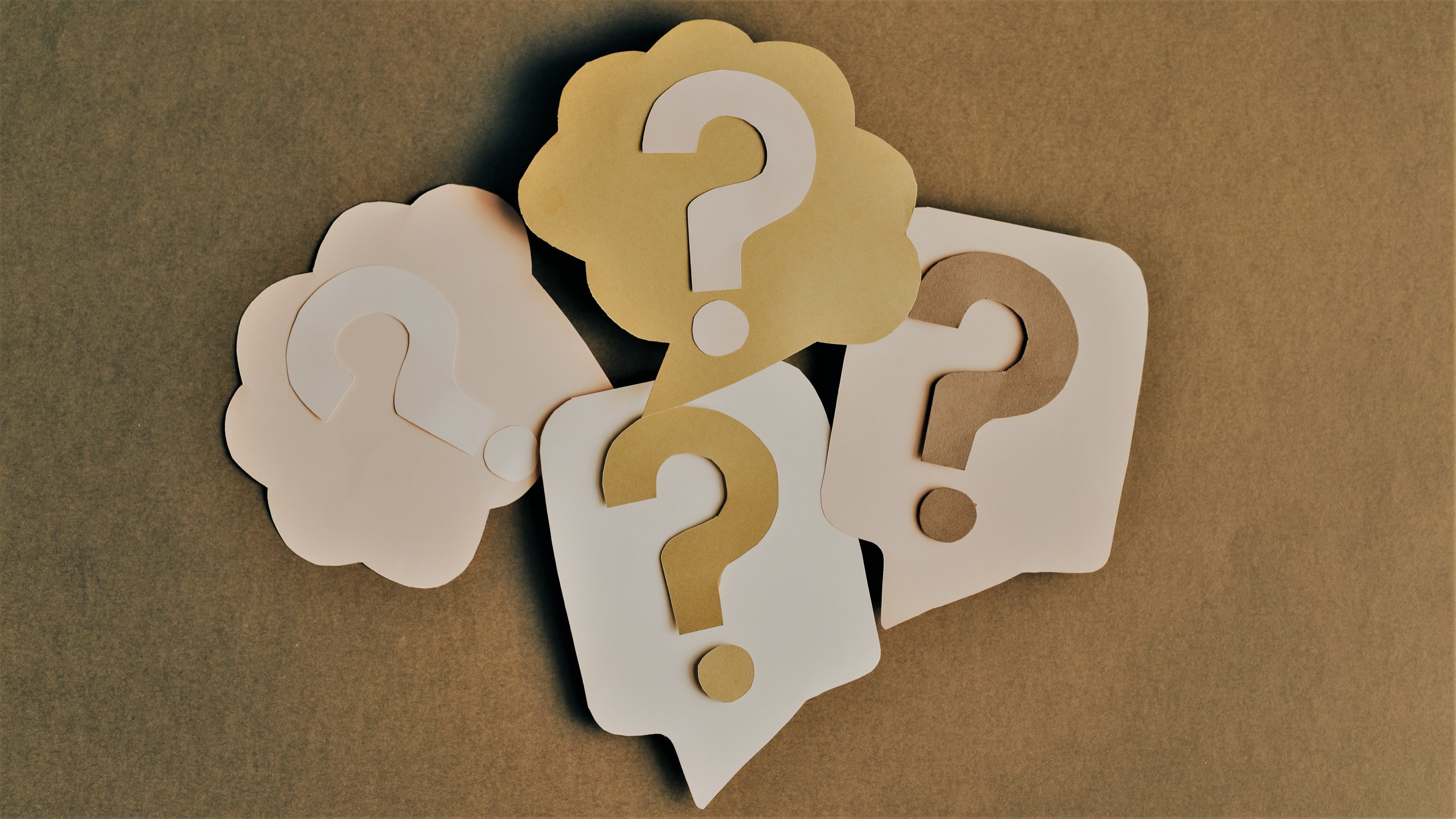 An online quiz on the topic "Export activitiy" is announced