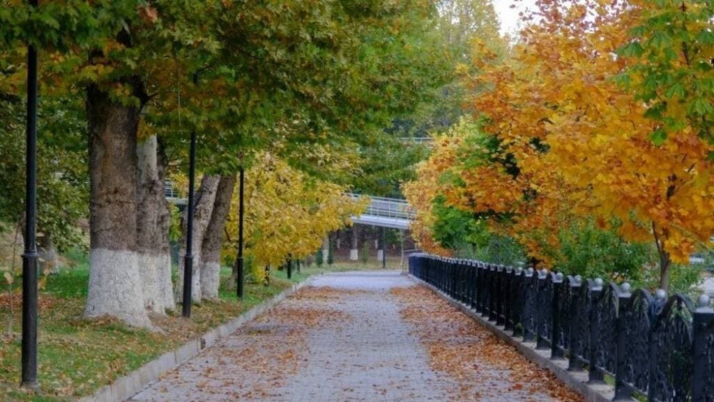 v-uzbekistane-derevya-poluchat-pasporta