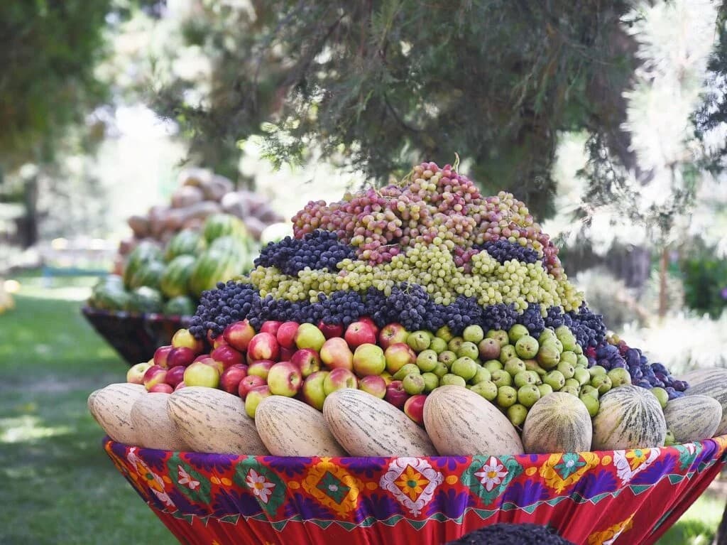Almost 600 thousand tons of fruit were harvested in Tajikistan