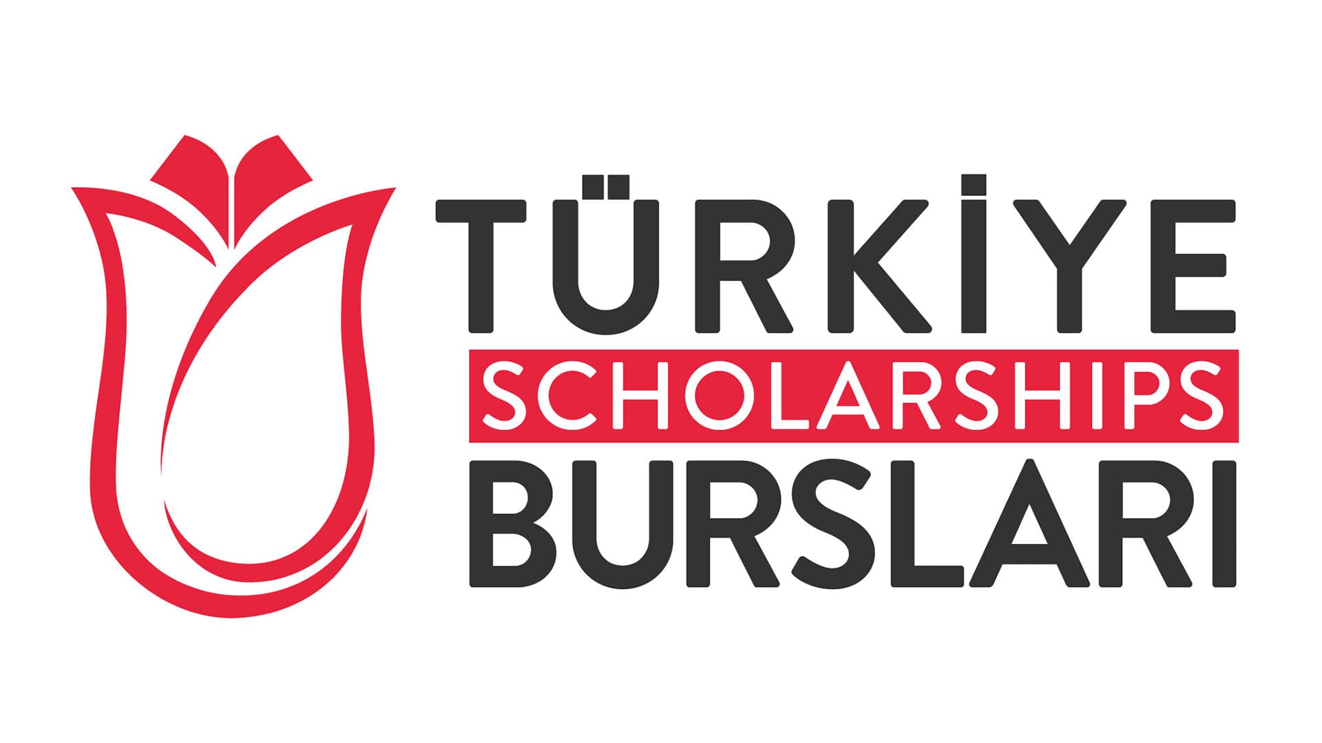 Türkiye Burslari 2024 – открыт приём заявок на получение стипендии