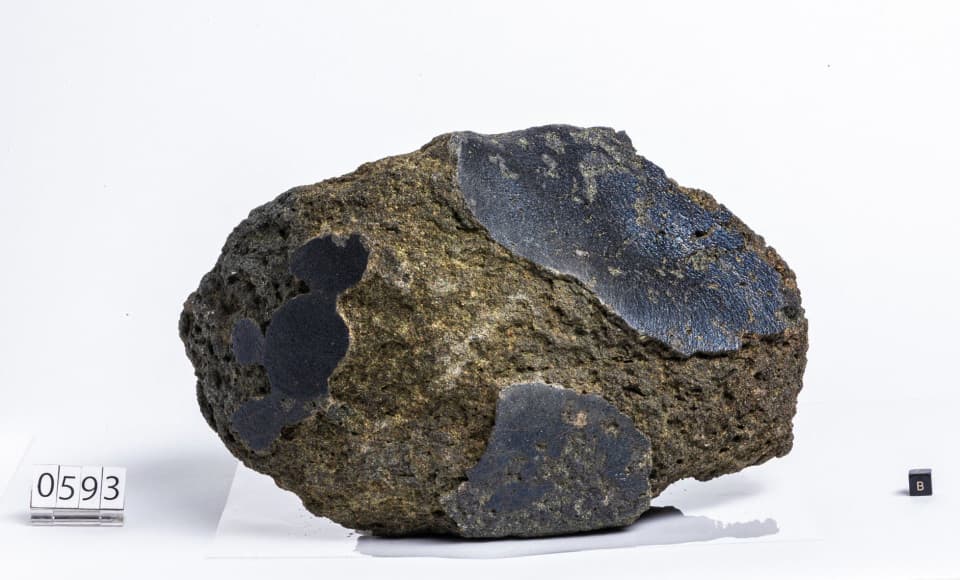 The "Martian Rock" to be presented at the World Exposition in Osaka