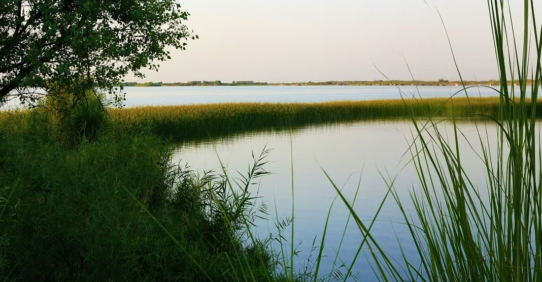 turkmenistan-v-usloviyah-klimaticheskih-vyzovov-adaptaciya-i-mezhdunarodnoe-sotrudnichestvo