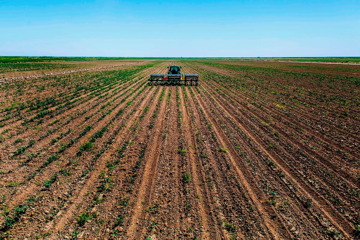 turkmenistan-study-possibility-holding-expo-exhibition-agriculture