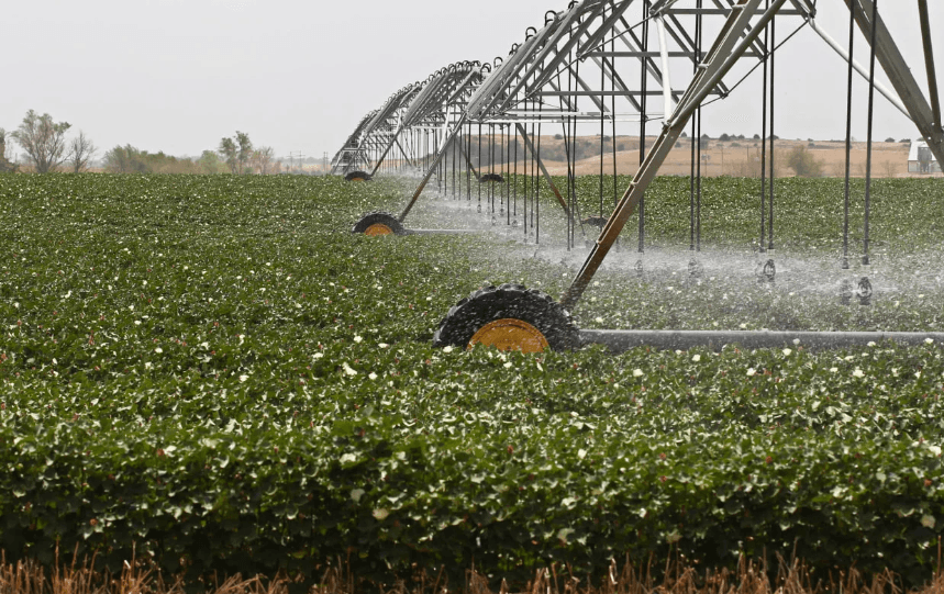 New Water Code Approved in Uzbekistan