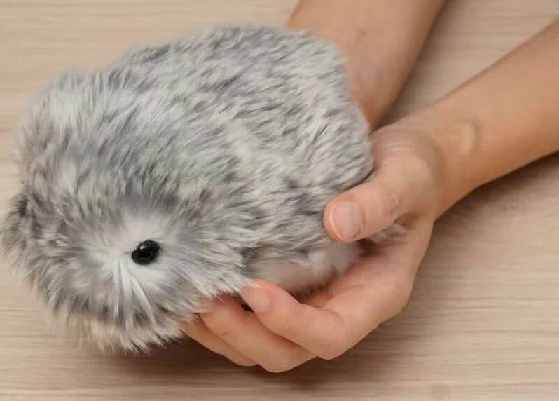 Fluffy robot pet Moflin with a unique personality becomes a hit in Japan