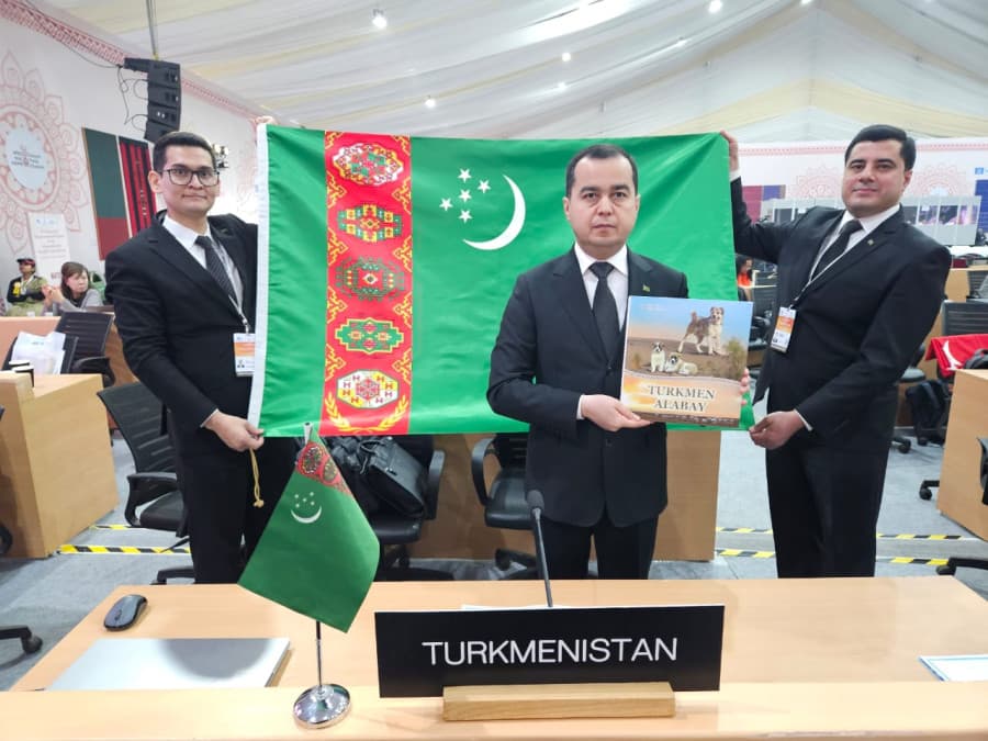 art-breeding-turkmen-alabay-was-included-unescos-representative-list-intangible-cultural-heritage-humanity