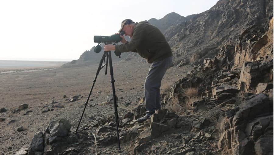 na-turkmenskom-poberezhe-kaspiya-specialisty-provodyat-zimnij-uchyot-ptic