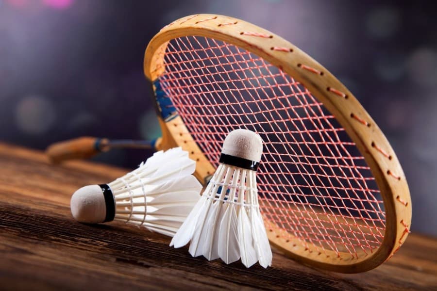 badminton-i-ego-polza-dlya-zdorovya