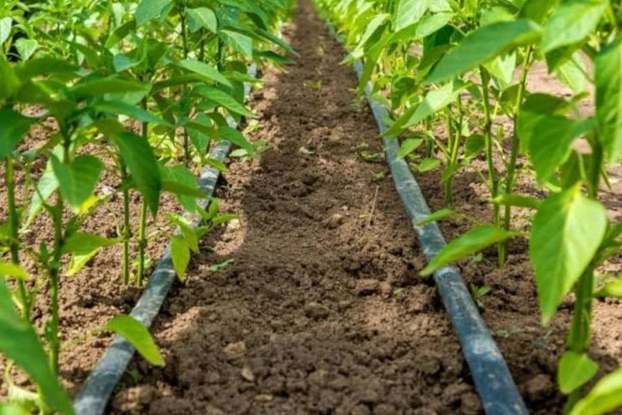 uzbekistan-will-allocate-33-trillion-soums-water-saving-technologies-agriculture