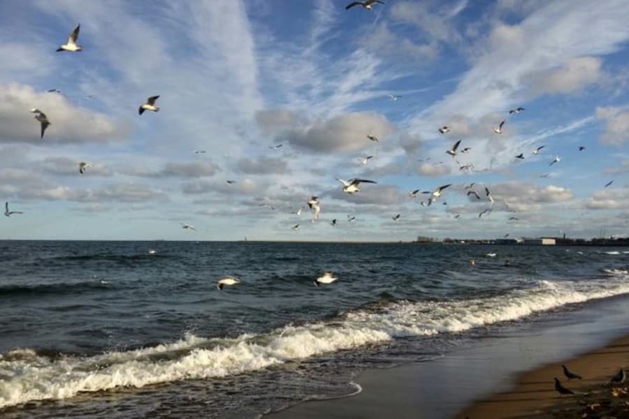 Japan Allocates $3 Million to Help Save the Caspian Sea