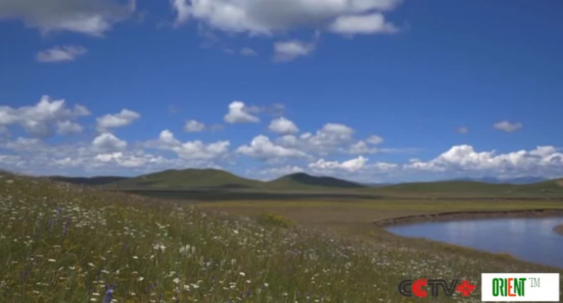 China’s wetland area ranks first in Asia, 4th globally