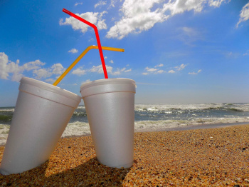 England to ban single-use plastic cutlery and plates