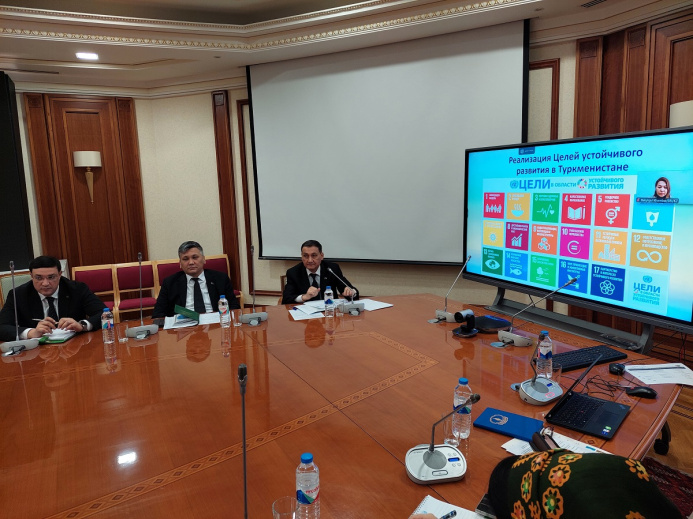  UNDP and Partners Discuss Public Budget Alignment with Sustainable Development Goals