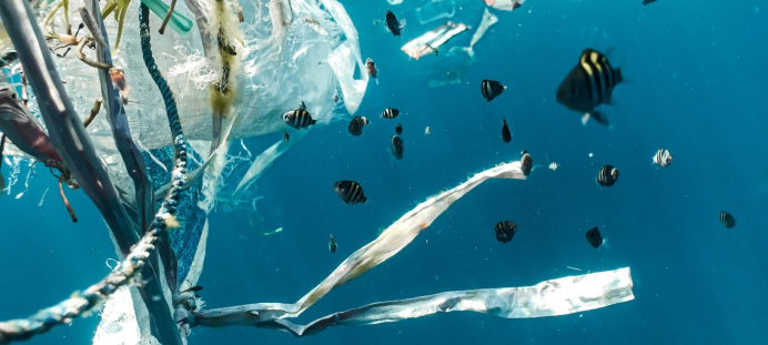  The draft global compact on plastic waste will be prepared by the end of 2024