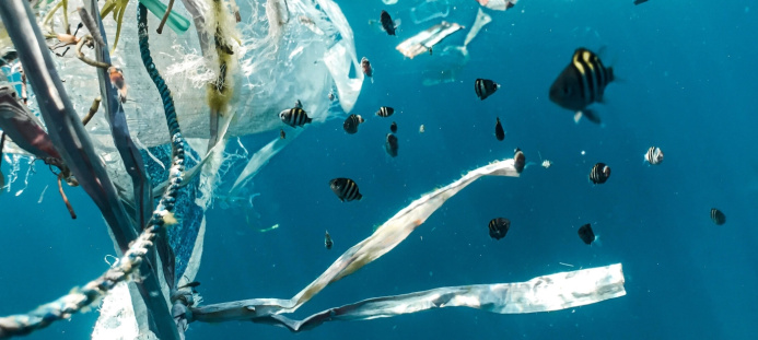  The draft global compact on plastic waste will be prepared by the end of 2024