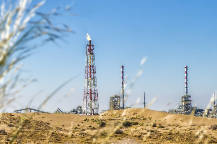  «Туркменгаз» и ADNOC обсудили состояние и перспективы сотрудничества